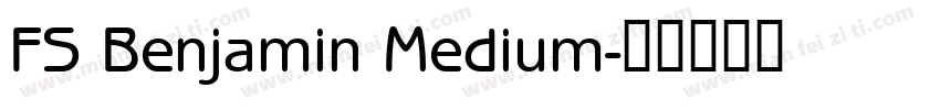 FS Benjamin Medium字体转换